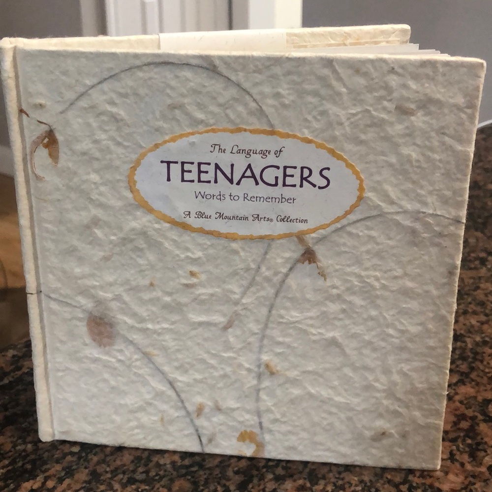The Language of Teenagers Words to Remember book